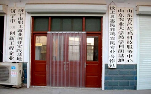 汶上縣惠民養(yǎng)雞農民專業(yè)合作社