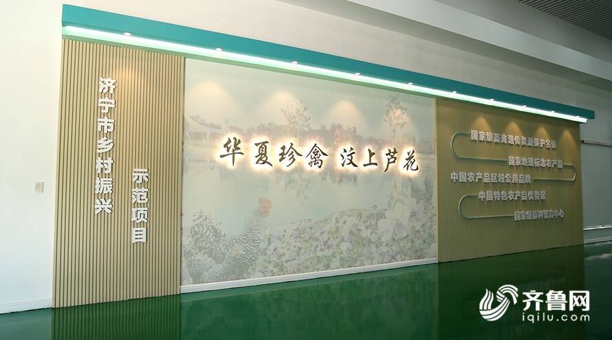 【齊魯網(wǎng)】濟寧2022上半年重點項目巡禮：汶上蘆花雞全產(chǎn)業(yè)鏈標(biāo)準(zhǔn)化生產(chǎn)基地項目 - 副本