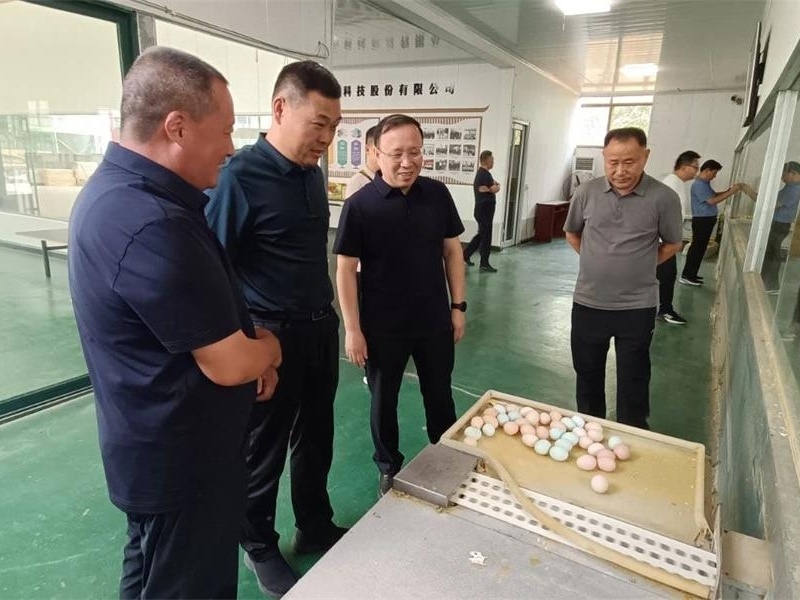 棗莊市嶧城區(qū)畜牧漁業(yè)事業(yè)發(fā)展中心來金秋農(nóng)牧公司考察