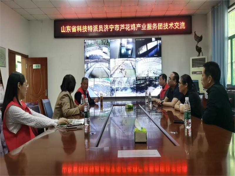 山東省科技特派員濟寧市蘆花雞產業(yè)服務團開展技術交流指導